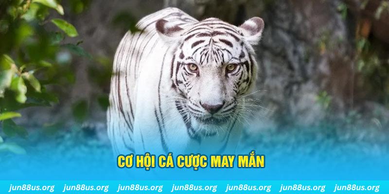 33win1 hết slot la gì