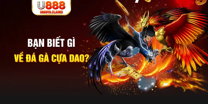 33win1 xổ số kiến thiết