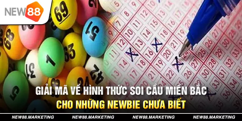 33win1 đăng nhập mậu binh live