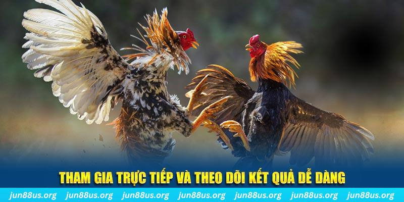 33win1 đá gà trực tiếp bình luận viên