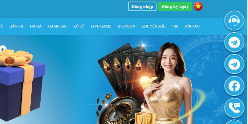 33win1 slot là gì dịch
