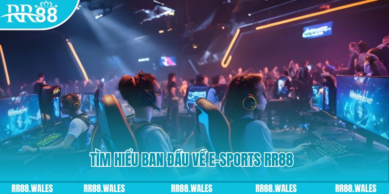 33win1 Đĩa màu ace