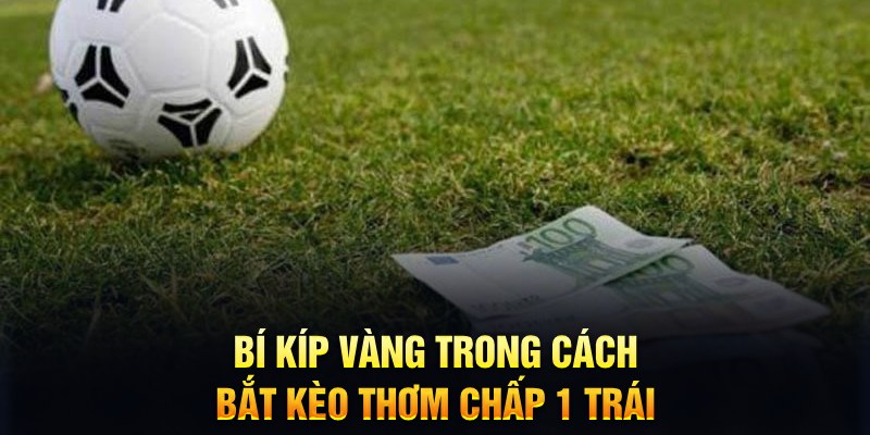 33win1 đăng nhập mậu binh mới nhất