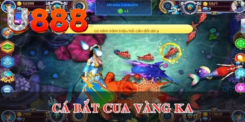 33win1 đăng nhập phỏm uy tín