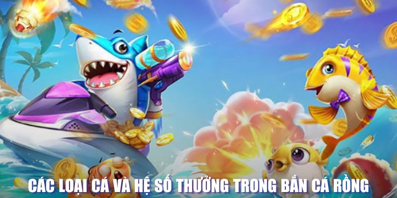 33win1 loi game dot kich ket noi may chu that bai