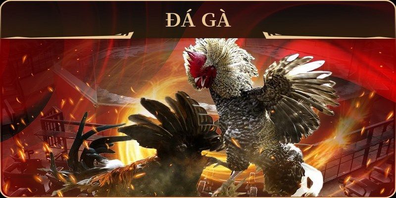 33win1 no hu doi thuong ai