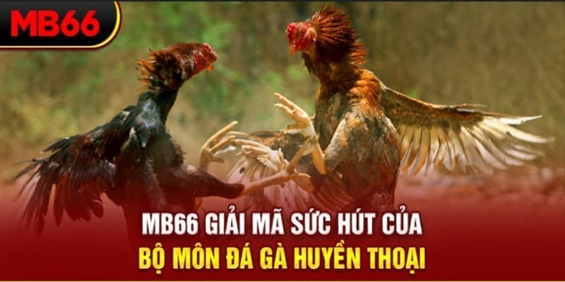 33win1 Phi Đội Ưu Tú