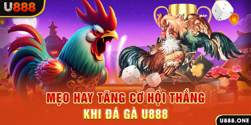 33win1 trực tiếp gà chọi c1
