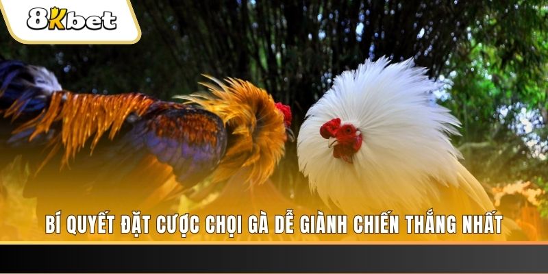 33win1 Tài Xỉu 2