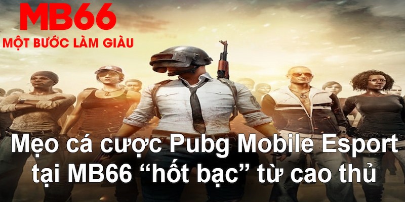 33win1 gà chọi mộc hóa