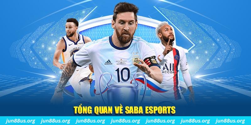 33win1 gà chọi c1 tv trực tiếp hôm nay